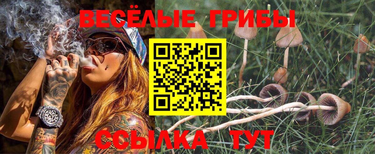 купить наркотики сайты  Вход с VPN  Киржач  Галлюциногенные грибы прущие грибы 